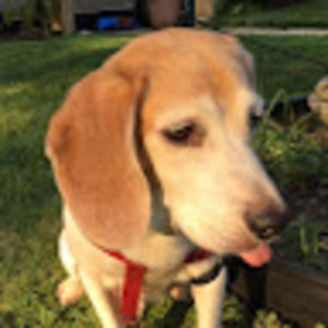 Meet your Posher, Estelle